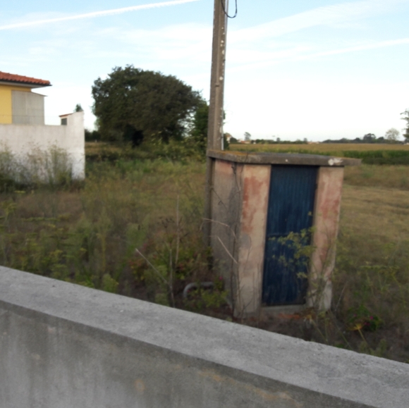 Meet your Posher, Joyce - Picture 8 of 8